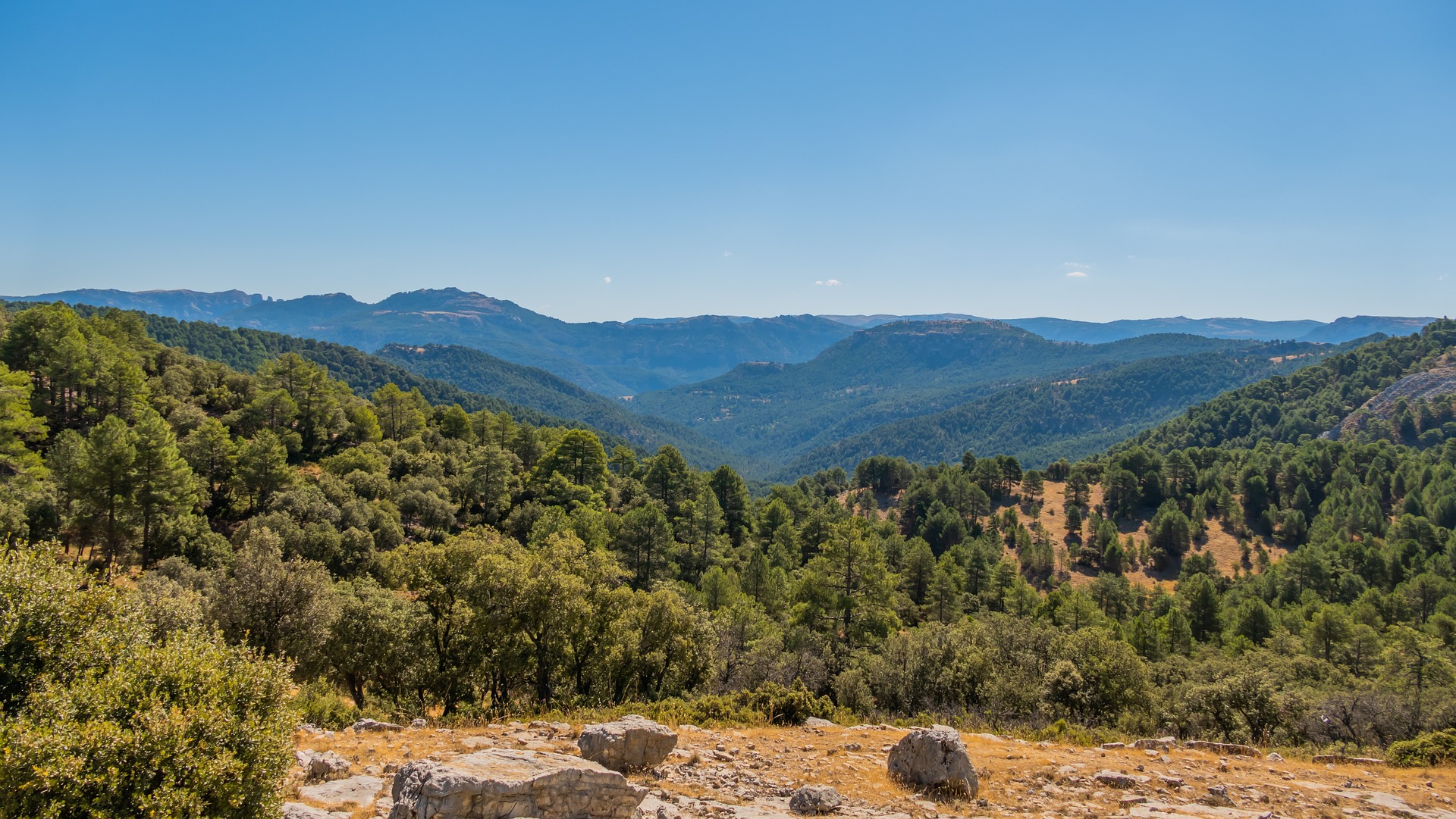 panoramica