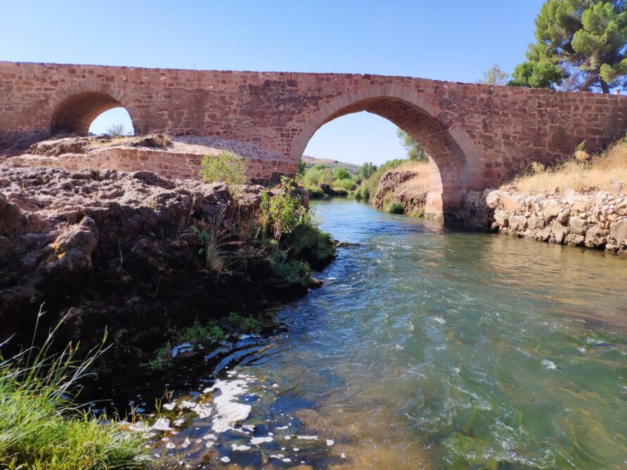 puente mocho