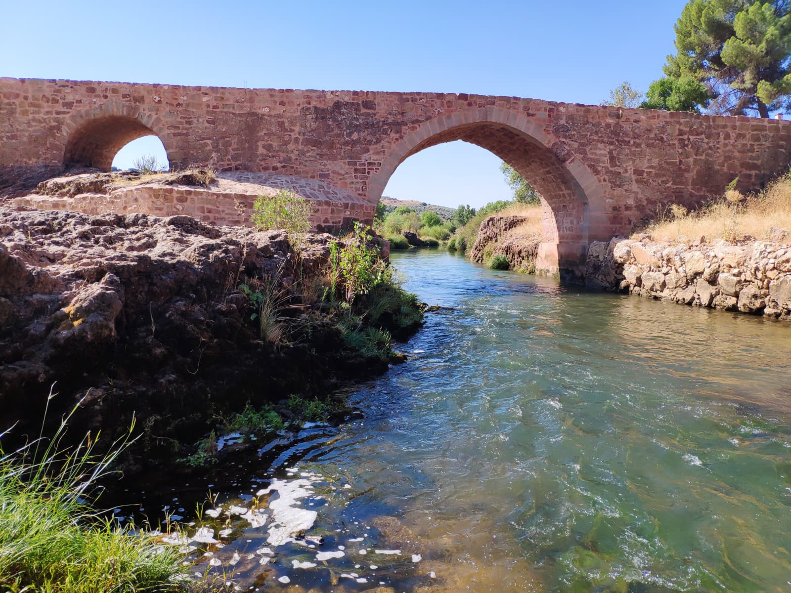 puente mocho
